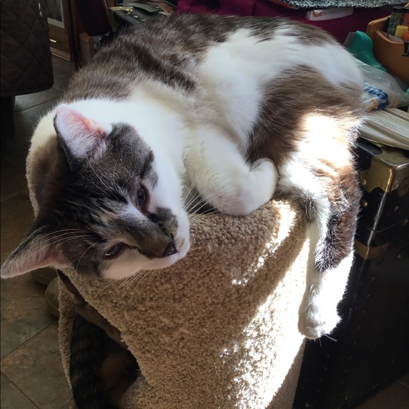 I learn so much checking out other closets! - Picture 14 of 16